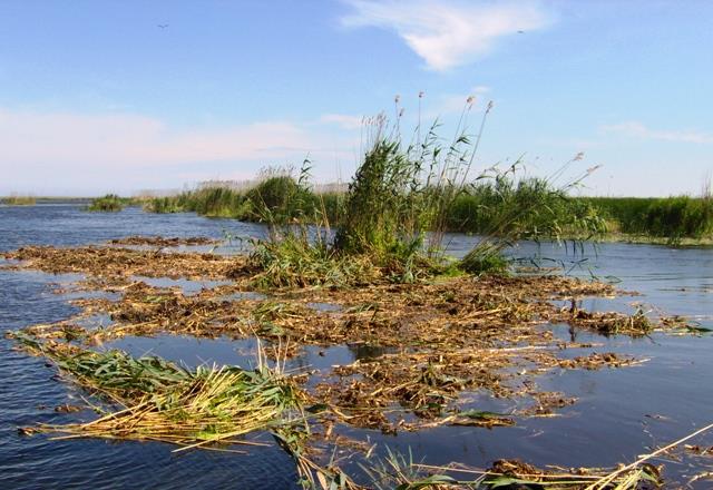 Doar ...  NATURA - im000235.JPG